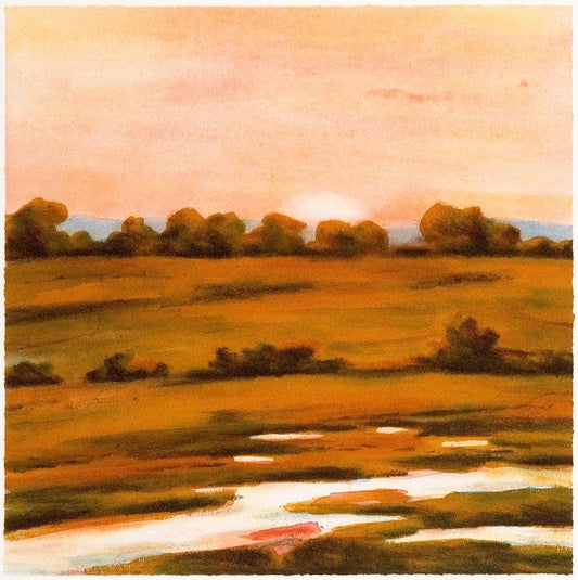 Eva Ljungdahl - Afton Alvaret