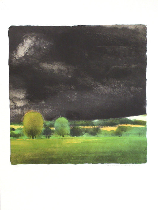 Gunnar Larson - Mörk himmel